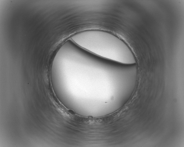 X0000067950345200604131208