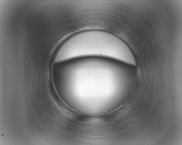 X0000067950348200604131208