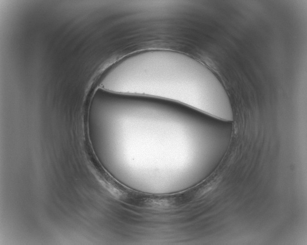 X0000067950349200604131208
