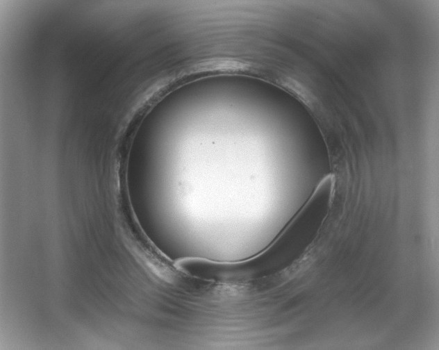 X0000067950350200604131208
