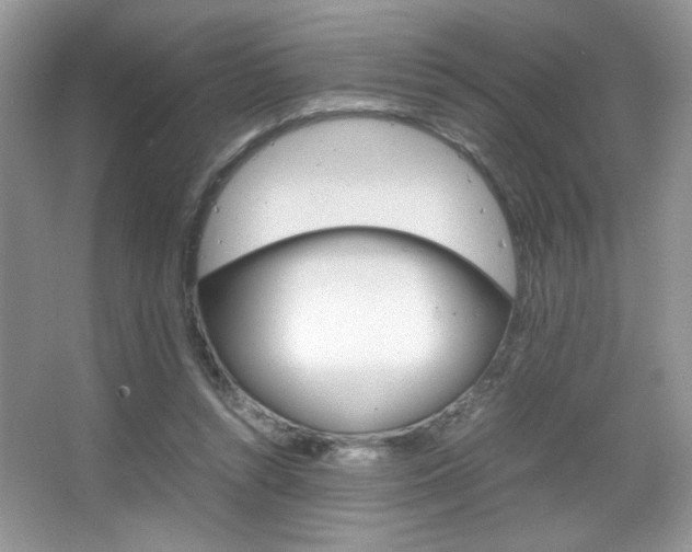 X0000067950352200604131208