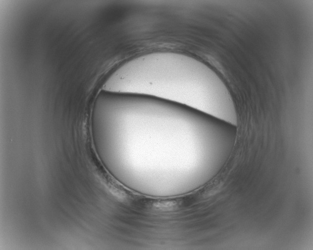 X0000067950357200604131209
