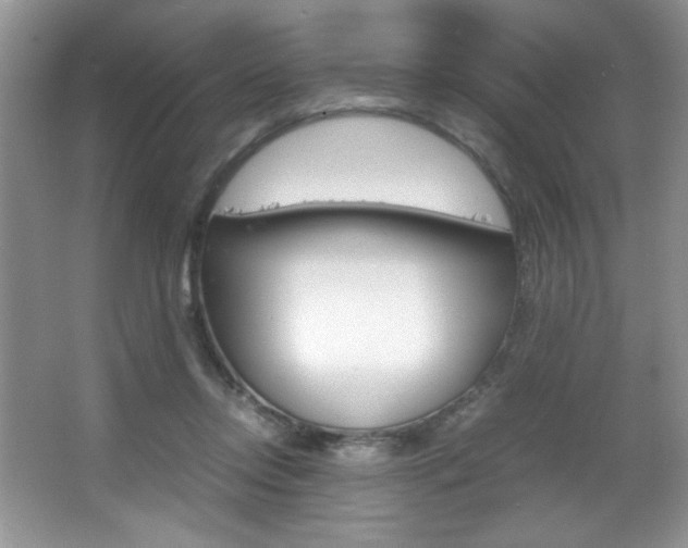 X0000067950358200604131209