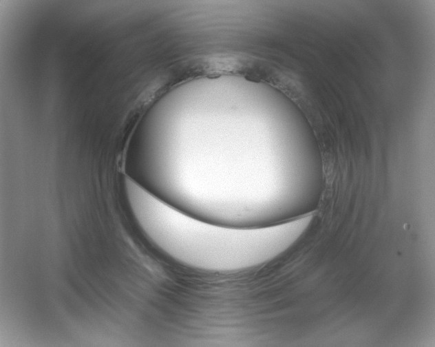 X0000067950360200604131209