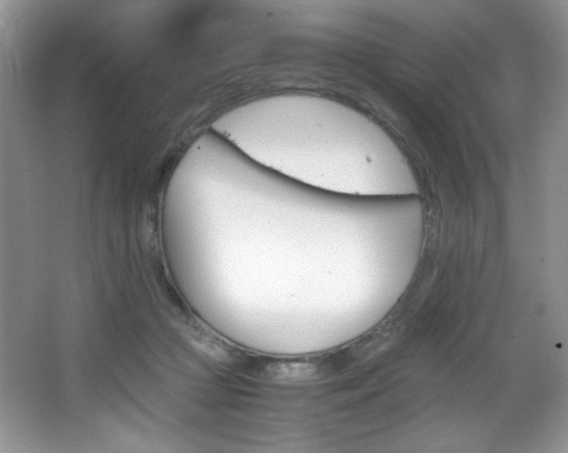 X0000067950361200604131209