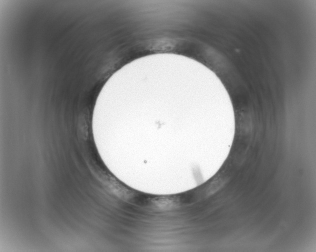 X0000067950370200604131209