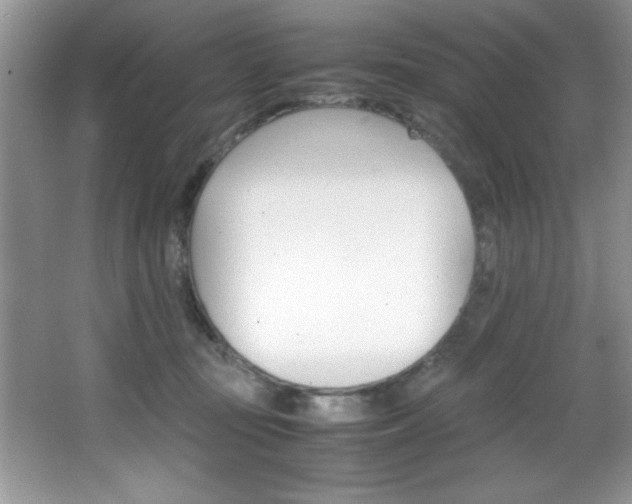 X0000067950371200604131209