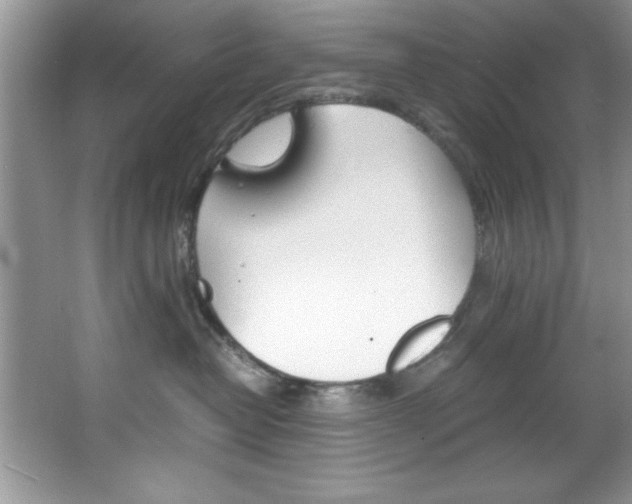 X0000067950382200604131209