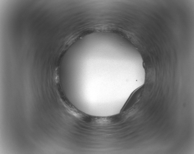 X0000067950383200604131209