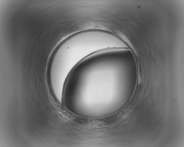 X0000067950387200604131208