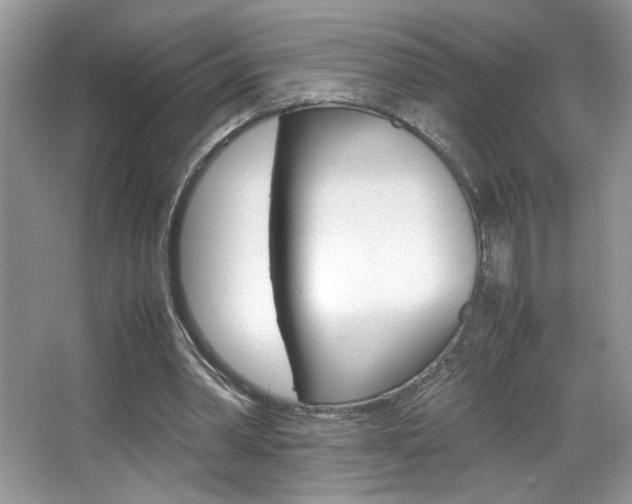 X0000067950390200604131208