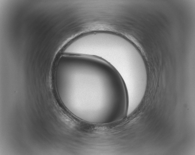 X0000067950391200604131208