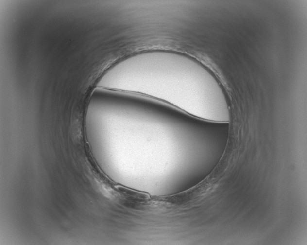 X0000067950393200604131208