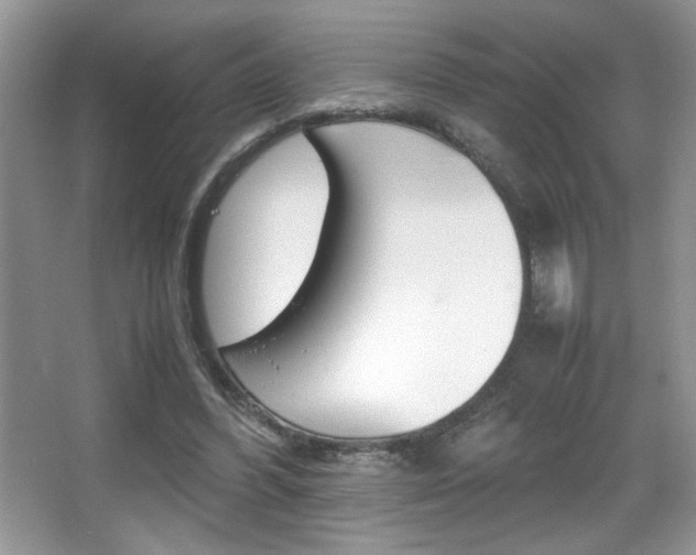 X0000067950396200604131208