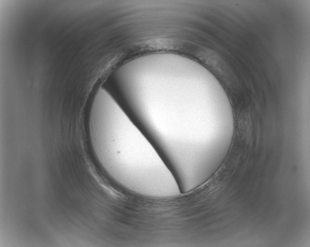X0000067950398200604131208