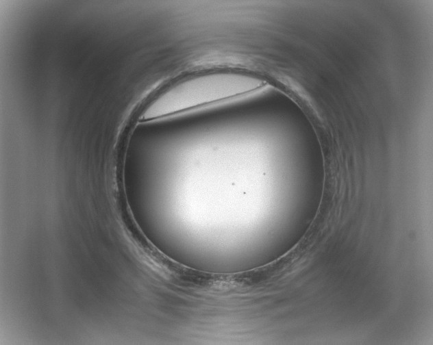 X0000067950399200604131208