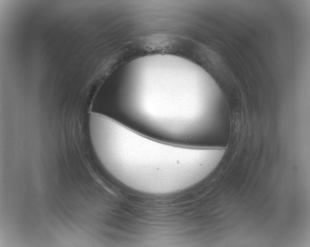 X0000067950408200604131208