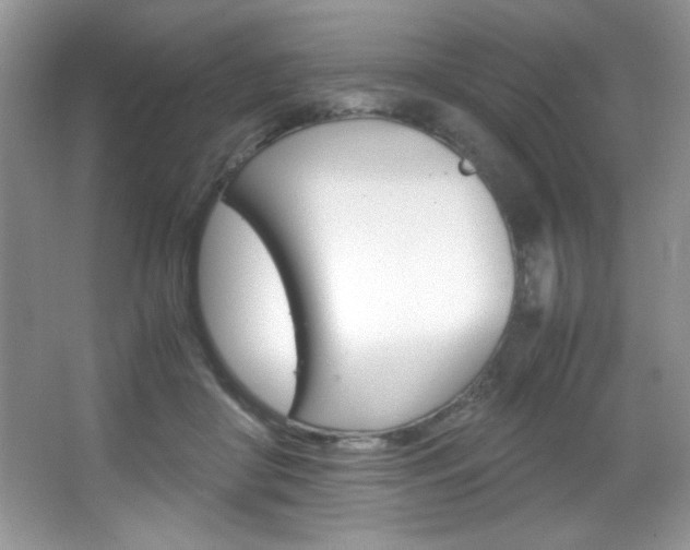 X0000067950410200604131208