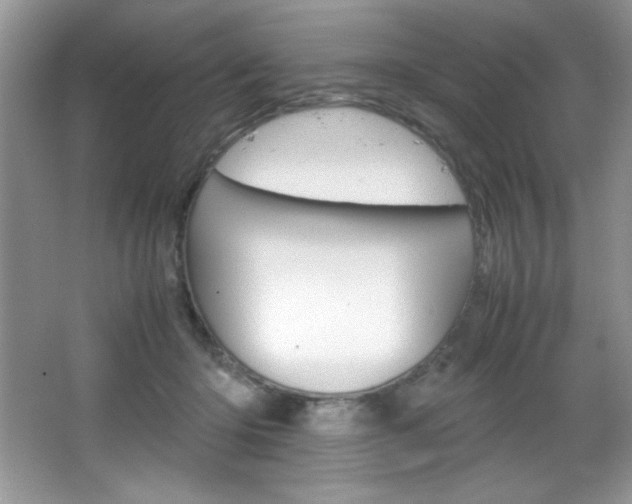 X0000067950414200604131208
