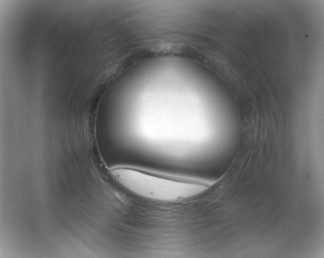 X0000067950416200604131208