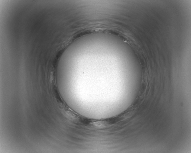 X0000067950417200604131208