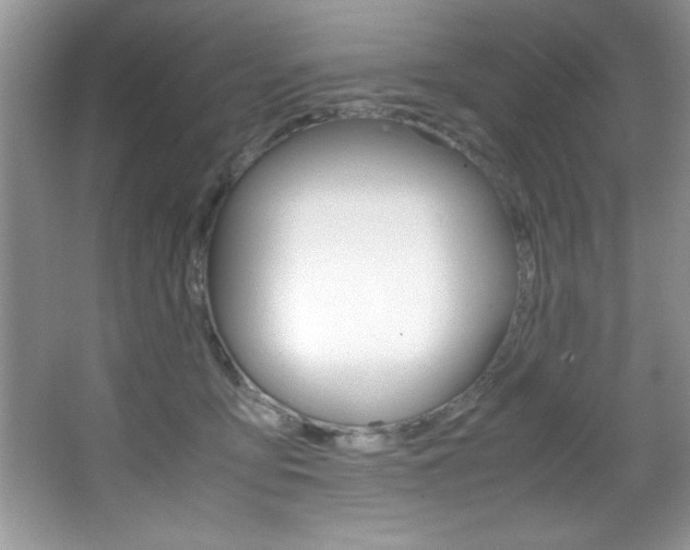 X0000067950419200604131208