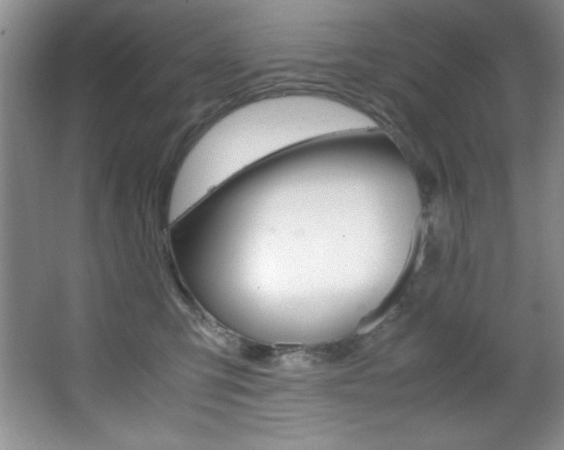 X0000067950423200604131208