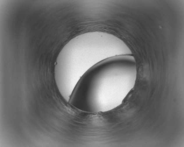X0000067950424200604131208