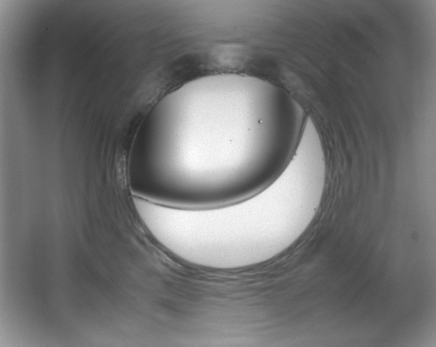 X0000067950425200604131208