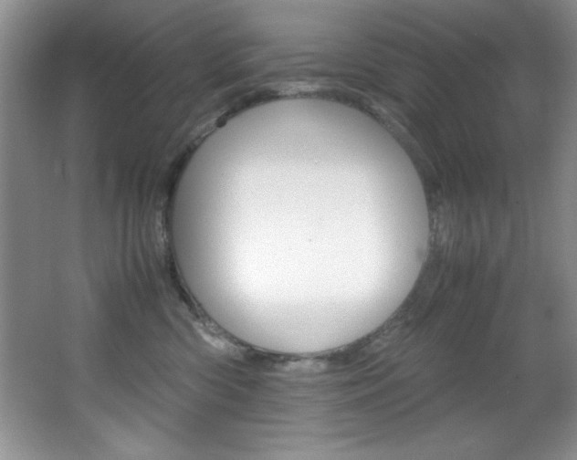 X0000067950426200604131208