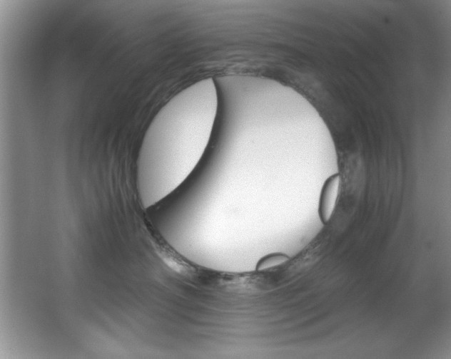 X0000067950430200604131207