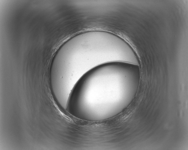 X0000067950433200604131207