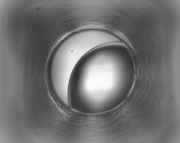 X0000067950436200604131207