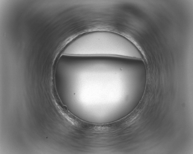 X0000067950437200604131207