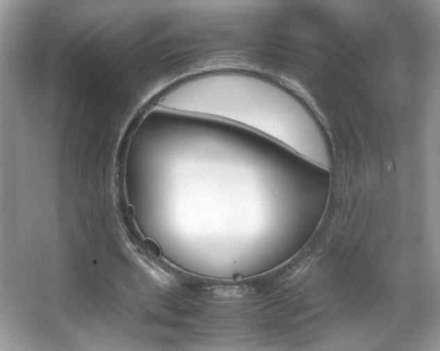 X0000067950439200604131207