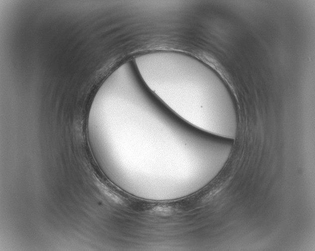 X0000067950441200604131207