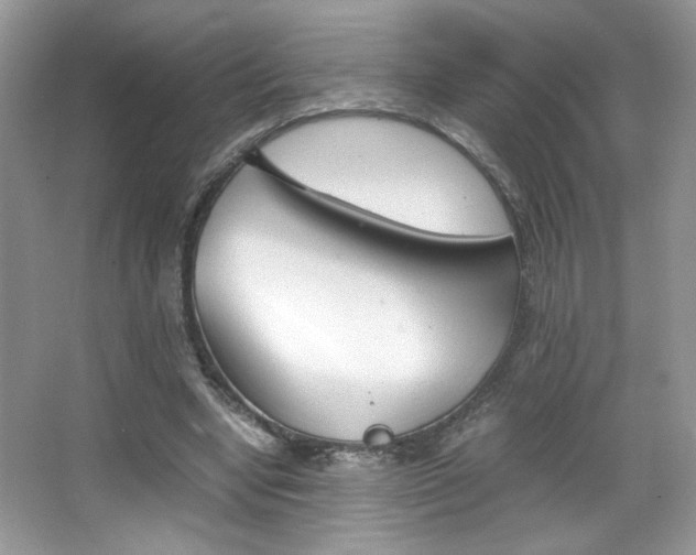 X0000067950442200604131207