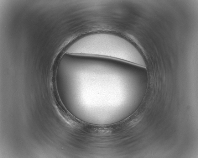 X0000067950443200604131207
