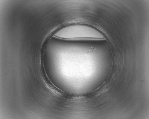 X0000067950446200604131207