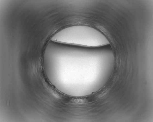X0000067950449200604131207