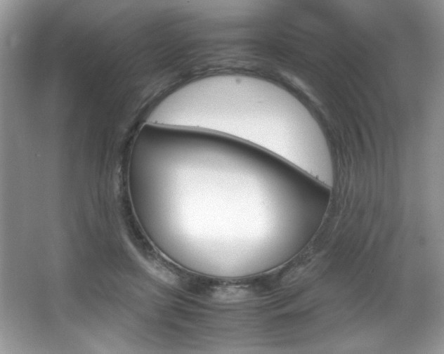 X0000067950451200604131207
