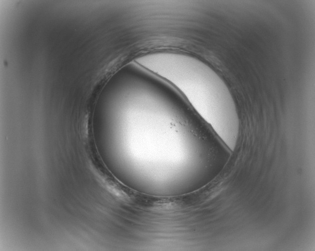 X0000067950454200604131207