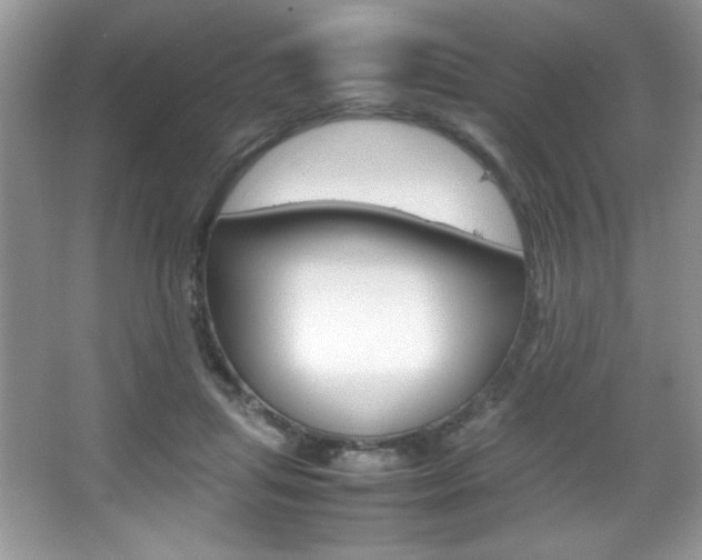 X0000067950455200604131207