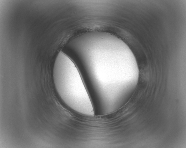 X0000067950458200604131207