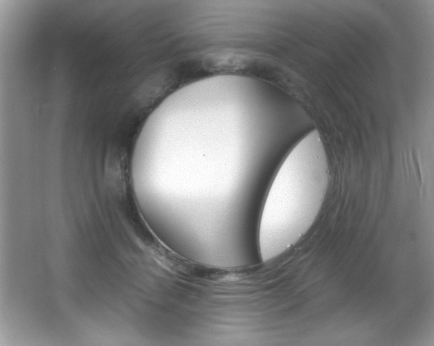X0000067950460200604131207
