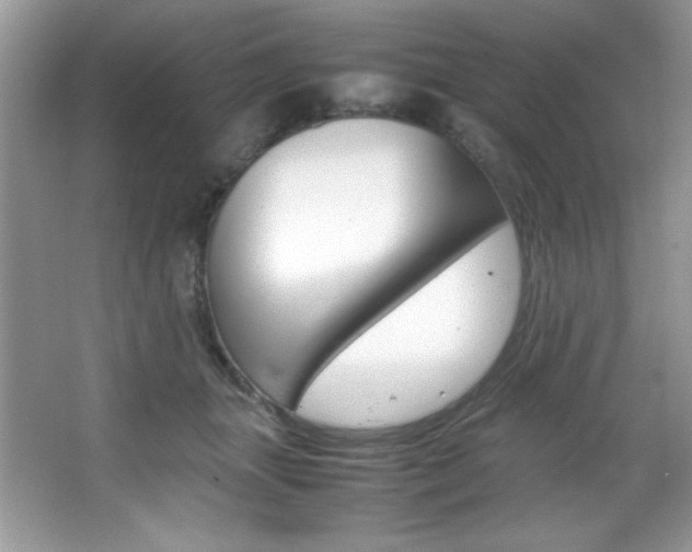 X0000067950463200604131207