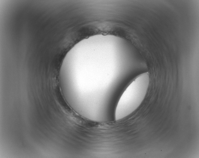 X0000067950464200604131207