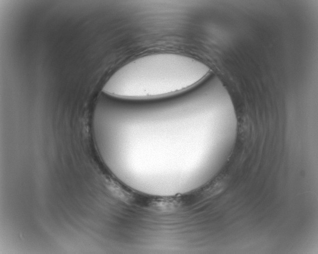 X0000067950466200604131207