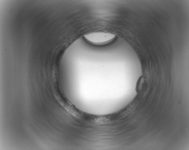 X0000067950468200604131207