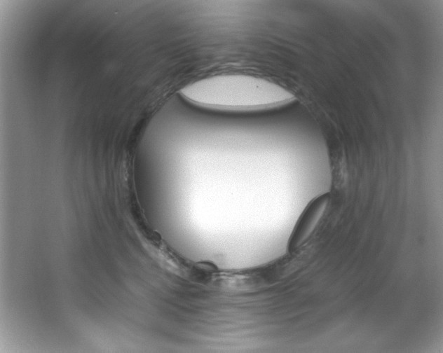 X0000067950472200604131207